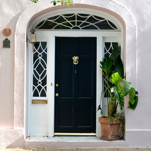 An image of a beautiful looking door, with patterned glass around it.